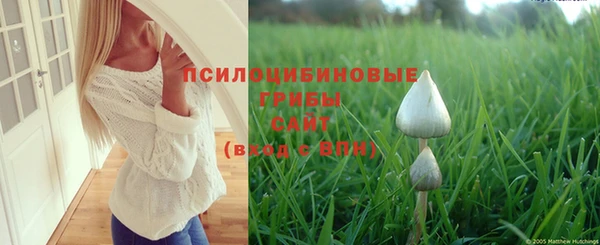 молекула духа Волоколамск