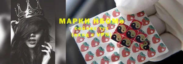 молекула духа Волоколамск