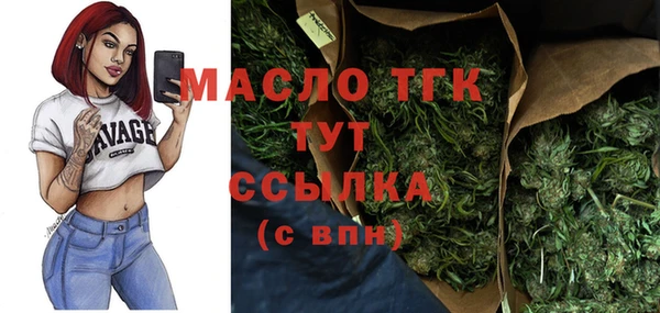 молекула духа Волоколамск