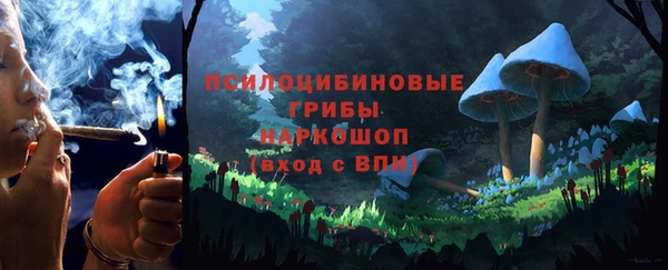 молекула духа Волоколамск