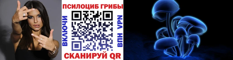 Купить где  Котельники  Псилоцибиновые грибы Psilocybe 